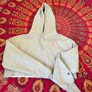 Grey Champion Cropped Hoodie- Sz M